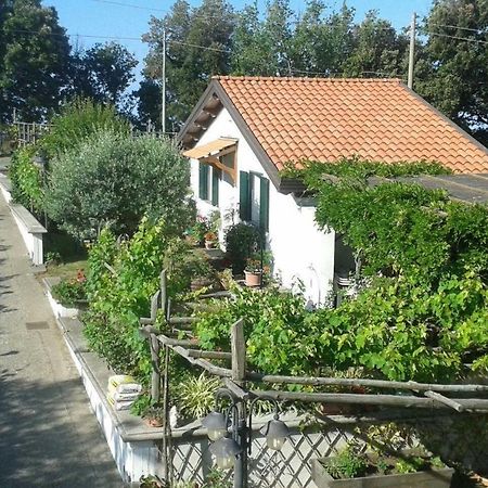 The Cottage Agerola Exteriör bild