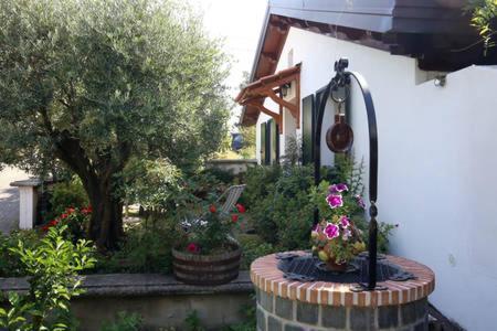 The Cottage Agerola Exteriör bild